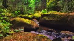 NAturschutzgebiet Doost